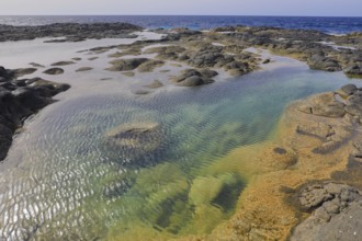 Natural rock pools by the sea, Piscinas Naturales, Lanzarote, Canary Islands, Spain, Europe