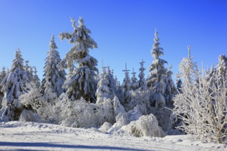 Winter landscape in the Fichtelgebirge, Bayreuth district, Upper Franconia, Bavaria, Germany,