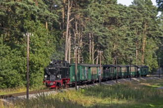 Rasender Roland steam railway, near Sellin, Rügen Island, Mecklenburg-Western Pomerania, Germany,