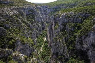 View into the Verdon Gorge at Belvedere de Bau Beni, Grand Canyon du Verdon, Département