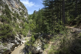 Hiking trail in the gorge of Trevans, Gorges de Trévans, river L Estoublaisse, near Estoublon,