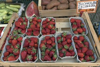 Fresh strawberries on a market stall, Baden-Württemberg, Germany, Europe