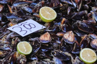 Mussels, lemons, price tag, detail, fish market, old town, Catania, east coast, Sicily, Italy,