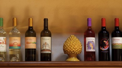 A selection of different wine bottles on a shelf next to a decorative ceramic fruit, Donna Fugata,