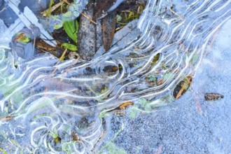 Detail of rozen water (ice) and air bubbles, Upper Palatinate, Bavaria, Germany, Europe