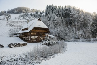 Snowy Black Forest Farm, Oberhamersbach, Black Forest, Baden-Württemberg, Germany, Europe