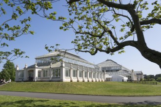 Temperate House, the largest Victorian greenhouse in the world, Royal Botanic Gardens (Kew