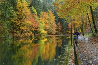 Hiking trail at Lake Amselsee, Rathen, Saxon Switzerland, Elbe Sandstone Mountains, Saxony,