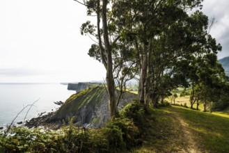 Steep coast, Ribadesella, Asturias, Asturias, Costa Verde, Northern Spain, Spain, Europe