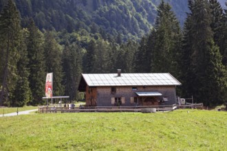 Untere Gutenalpe, Oytal, near Oberstdorf, Allgäu Alps, Oberallgäu, Allgäu, Bavaria, Germany, Europe