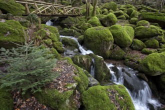 Moss-covered rocks, waterfalls, wooden bridge, Geishöll waterfalls, In der Geishöll, near