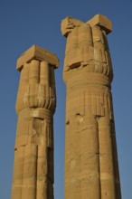 Columns, Temple of Amun, Soleb, Northern state, Nubia, Sudan, Africa