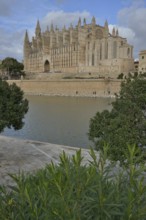 La Seu Cathedral, Palma Cathedral, Palma, Majorca, Balearic Islands, Spain, Europe