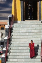 THIKSEY, INDIA, SEPTEMBER 13, 2012: Tibetan Buddhist monk in Thikse (Thiksey) gompa (monastery),