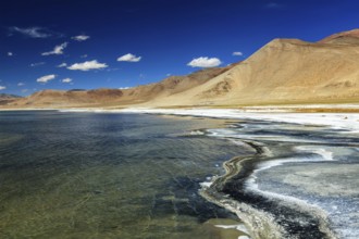 Tso Kar, fluctuating salt lake in Himalayas. Rapshu, Ladakh, Jammu and Kashmir, India, Asia