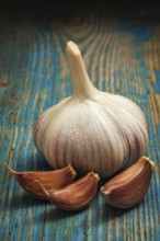 Garlic and cloves on old wooden background