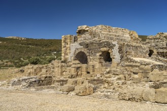 Roman ruins of Baelo Claudia in Bolonia, Tarifa, Costa de la Luz, Andalucia, Spain, Europe