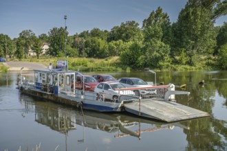 Saale, Brachwitz ferry, Brachwitz, Saxony-Anhalt, Germany, Europe