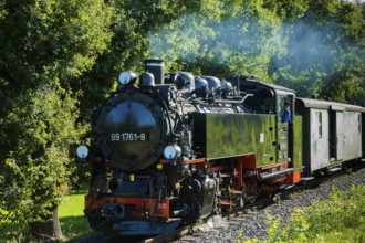 For the annual line birthday of the Lößnitzgrundbahn, many special trains from different eras of