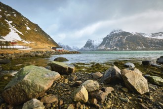 Red rorbu house in Norwegian fjord. Lofoten islands, Norway, Europe