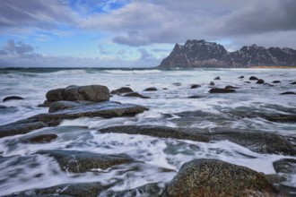 Rocks on beach of fjord of Norwegian sea in winter with snow. Utakliev beach, Lofoten islands,