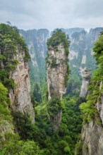 Famous tourist attraction of China, Avatar Hallelujah Mountain in Zhangjiajie stone pillars cliff