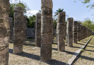 Group of a Thousand Columns, Chichen Itzá, Mayan ruins, Yucatan, Mexico, Central America