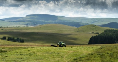 Cezallier plateau. Farmer rowing up hay in the Auvergne volcanoes regional natural park, Puy de