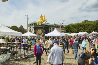 One of the first open-air markets in Dresden at the Goldener horse-rider, freshly renovated and