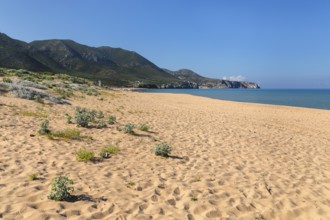 Portixeddu Beach, Province of Sud Sardegna, Sardinia, Italy, Portixeddu, Sardinia, Italy, Europe