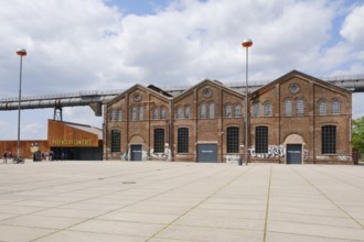 Phoenix des Lumières, art exhibition in the former industrial hall, Phoenix-West, Hörde, Dortmund,