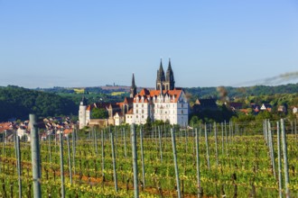 Albrechtsburg Castle and Meissen Cathedral