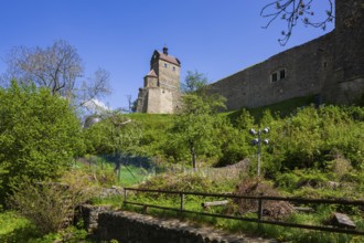 Stolpen Castle in spring