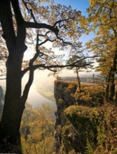 Bastei view in Saxon Switzerland