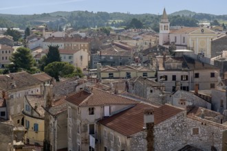 Old town centre with the church Gospa od Angela (Mary of the Angels), Porec, Istria, Croatia,