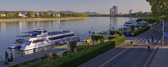 Rhine and Brassertufer with the catamaran Filia Rheni, Bonn, Rhineland, Germany, Europe