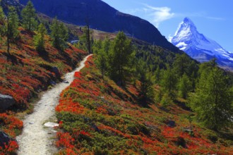 Mountain path, Matterhorn, Valais, Switzerland, Europe