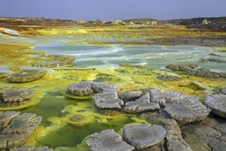 Dallol sulfur springs, hot springs in the Danakil Depression discharge brine and acidic liquid in