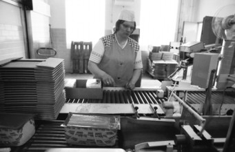 Cheese production at the Westmilch company on 22.05.1980 in Extertal near Herford, Germany, Europe