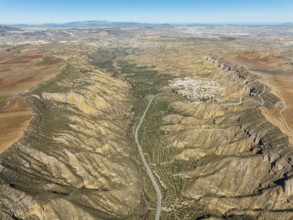 The Gor river valley grown with cultivated olive trees (Olea eropaea) and the town of Gorafe,