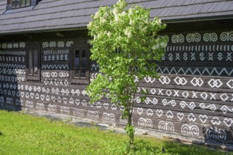 Painted wooden house Unesco World Heritage Site, Cicmany, Žilinský kraj, Slovakia, Europe