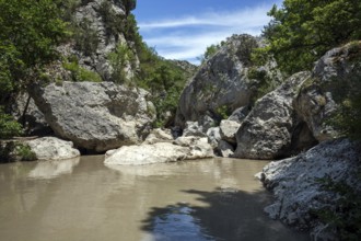 River L Estoublaisse, Trevans Gorge, Gorges de Trévans, near Estoublon, Alpes-de-Haute-Provence,