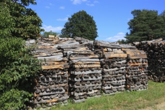 Stacked firewood, split logs in a pile, polter, logs