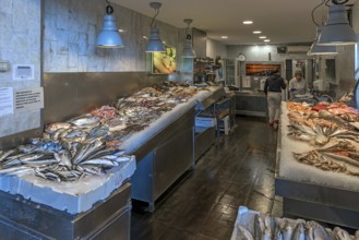 Fish shop in the old arcades at the harbour, Genoa, Italy, Europe