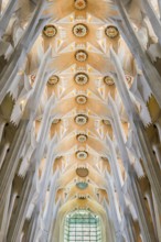 Interior of the Familia Sagrada, religion, Christianity, by the architect Antonio Gaudi in