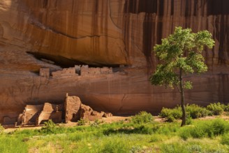 White house ruin, Native Americans, Indians, Indigenous people in Chelly Canyon, Arizona, USA,