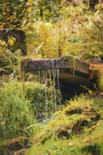 Stream stairs with flowing water in the spa gardens during autumn, Bad Wildbad, Black Forest,