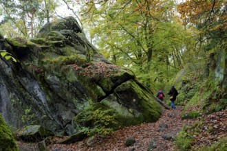 Hiking trail on the Lilienstein, Saxon Switzerland, Elbe Sandstone Mountains, Saxony, Germany,