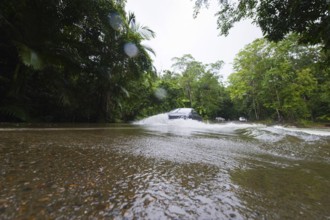 Flooded road, climate, river, rainforest, jungle, rain, flood, flooding in Daintree National Park,