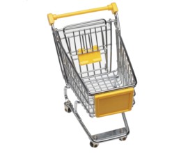 Small empty shopping trolley